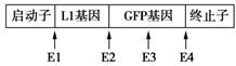 学科网(www.zxxk.com)--教育资源门户，提供试卷、教案、课件、论文、素材及各类教学资源下载，还有大量而丰富的教学相关资讯！